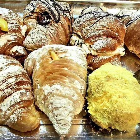 赛尔瓦拉公园酒店 酒店